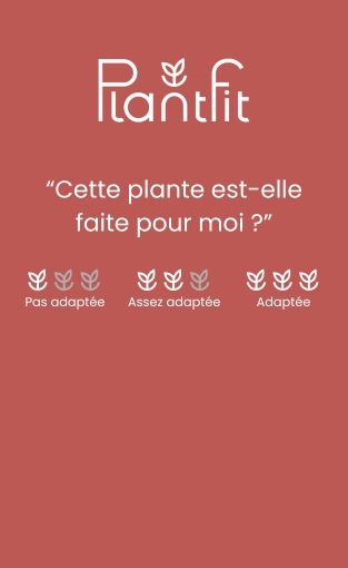Comment les fleurs attirent-elles les insectes pollinisateurs ?