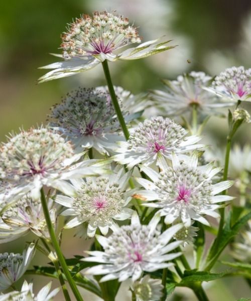 Entdecken Sie jetzt Hunderte von Artikeln im Sonderangebot
