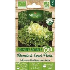 Endivie Escariol Blonde à Cœur Plein Bio - Vilmorin