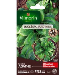 Gewöhnlicher Feldsalat Agathe - Vilmorin