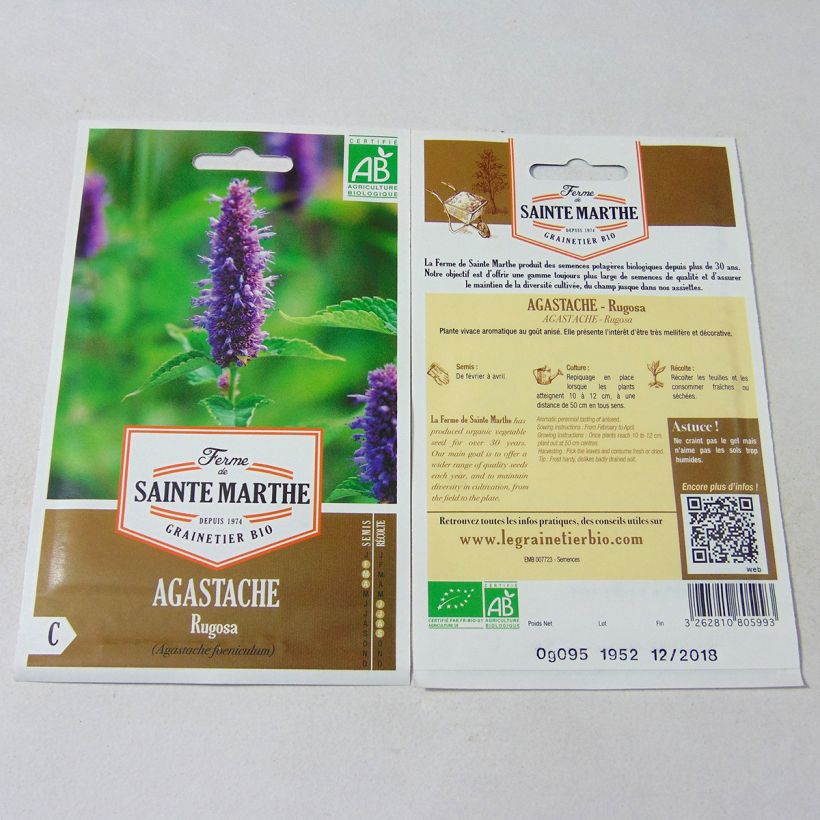 Example of Agastache rugosa - Duftnessel per pack of 150 seeds (0.095g) as you get