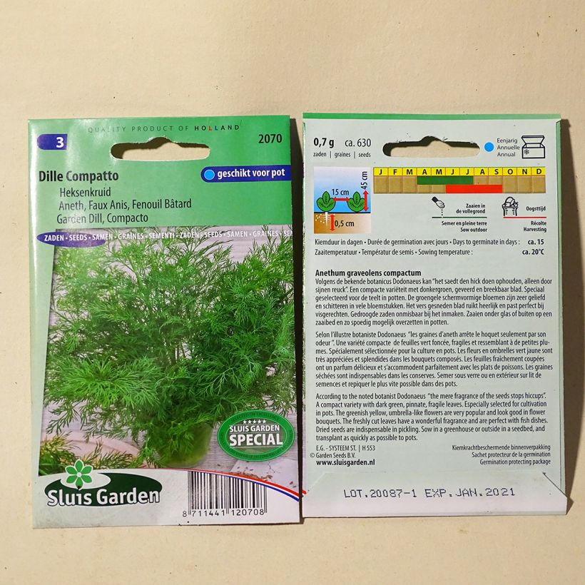 Example of Dill compatto - Anethum graveolens per pack of 400 seeds (1g) as you get