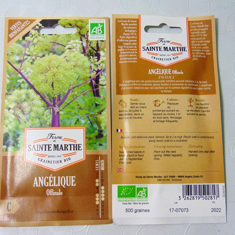 Example of Echte Engelwurz Bio - Angelica archangelica per pack of 400 seeds (2g) as you get