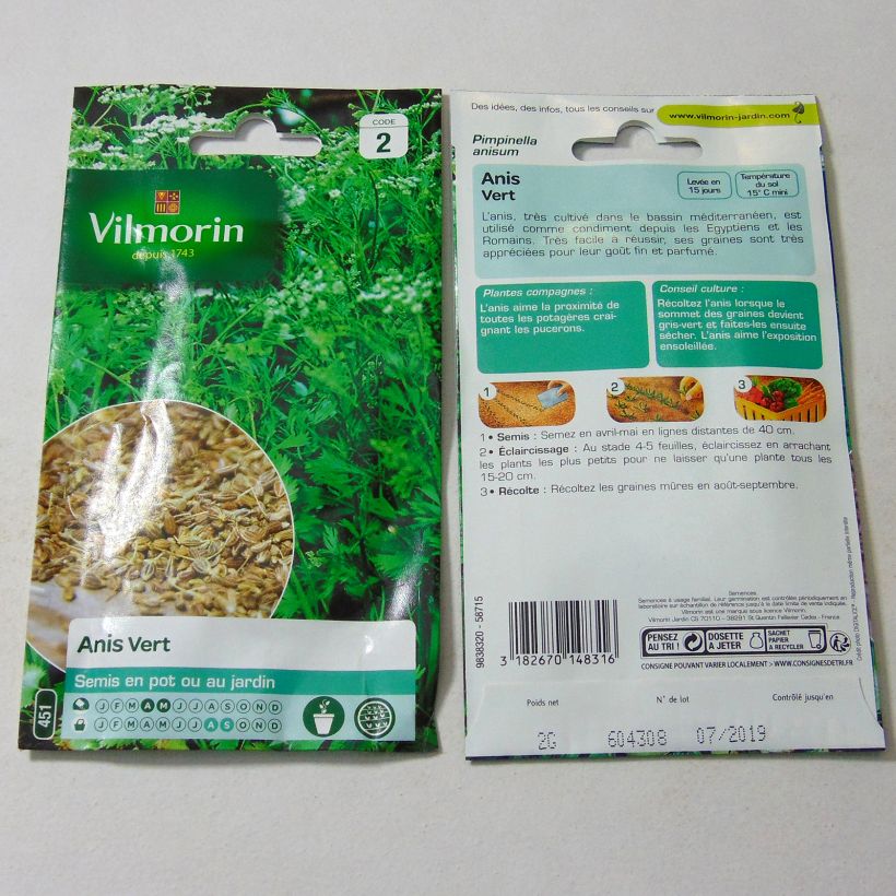 Example of Anis - Vilmorin - Pimpinella anisum per 2 g seed pack as you get