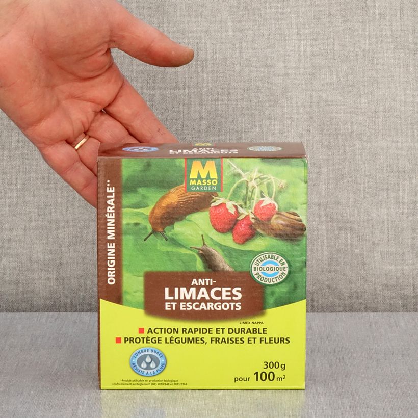 Example of Schneckenkorn und Schneckenkorn UAB Masso Garden Box as you get