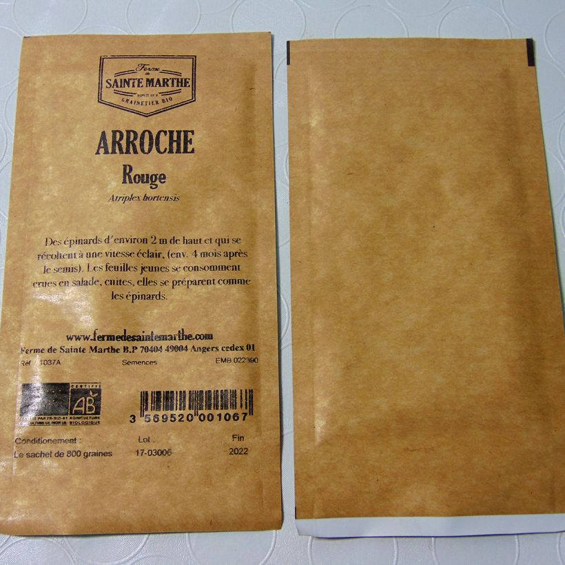 Example of Garten-Melde Rouge Bio - Atriplex hortensis per pack of 800 seeds (4g) as you get