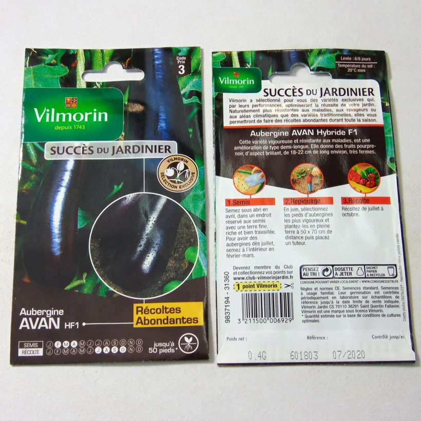 Example of Aubergine Avan F1 - Vilmorin per pack of 50 seeds (0.4g) as you get
