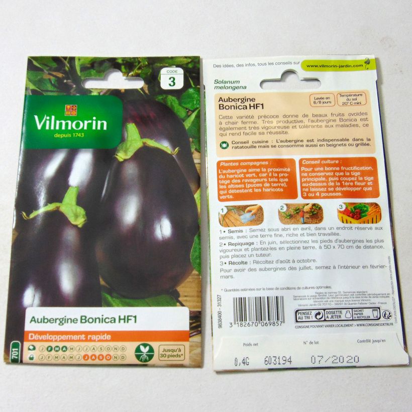 Example of Aubergine Bonica F1 - Vilmorin per pack of 50 seeds (0.4g) as you get