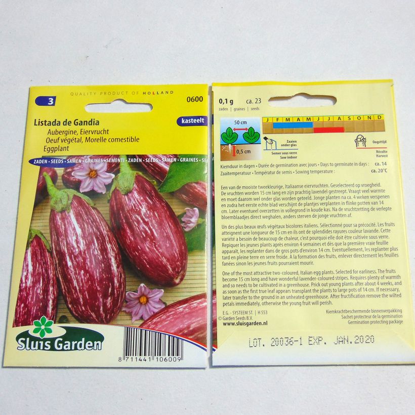 Example of Aubergine Listada de Gandia per pack of 200 seeds (1g) as you get