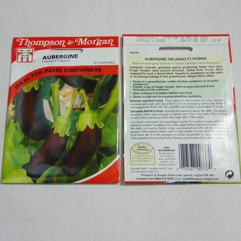 Example of Aubergine Orlando per pack of 6 seeds as you get