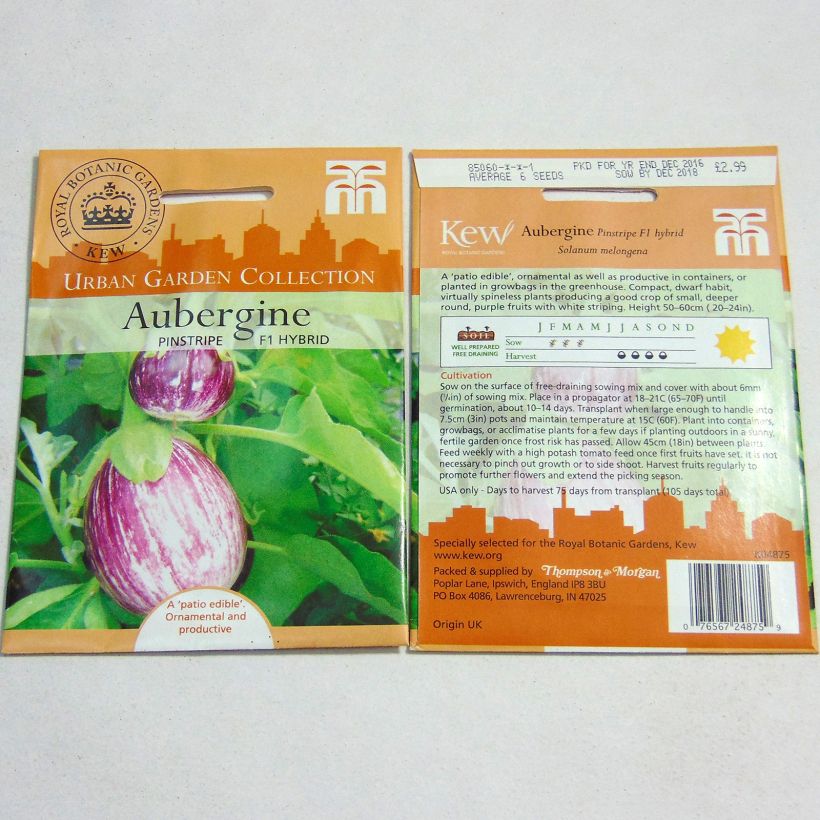Example of Aubergine Pinstripe per pack of 6 seeds as you get