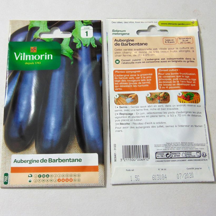 Example of Aubergine Barbentane - Vilmorin per pack of 200 seeds (1g) as you get