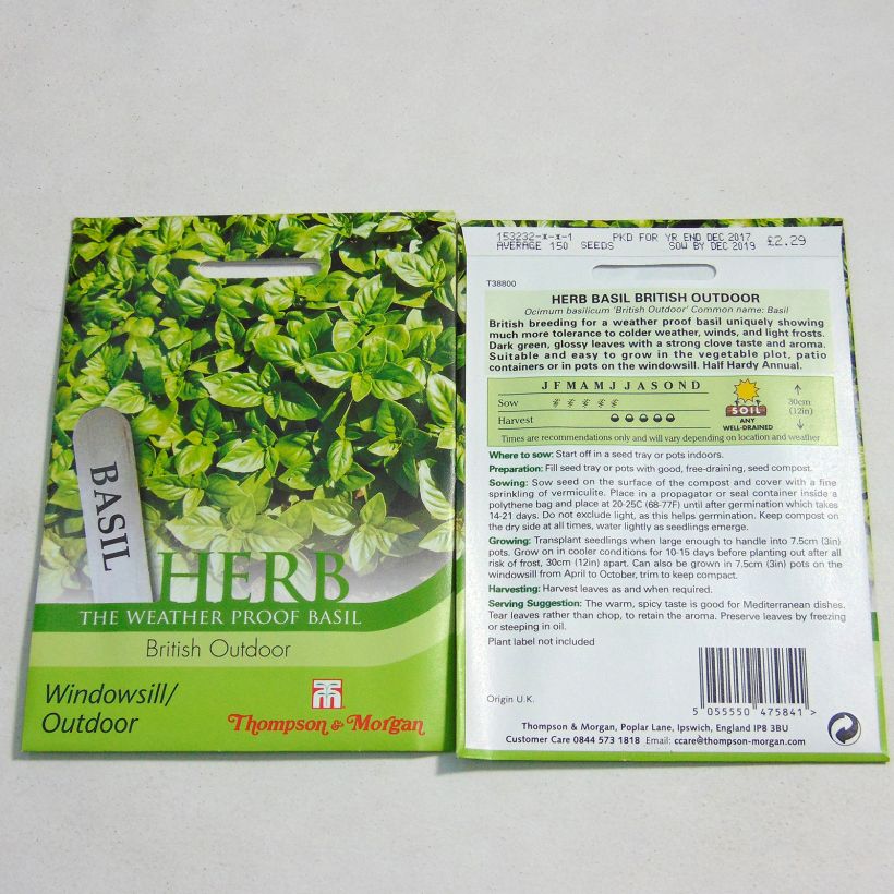 Example of Basilikum British Outdoor per pack of 100 seeds as you get