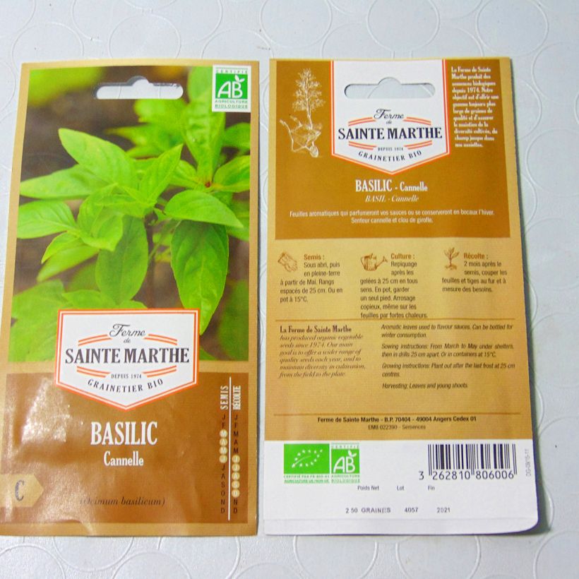 Example of Basilikum Cinnamorum per pack of 150 seeds (0.2g) as you get