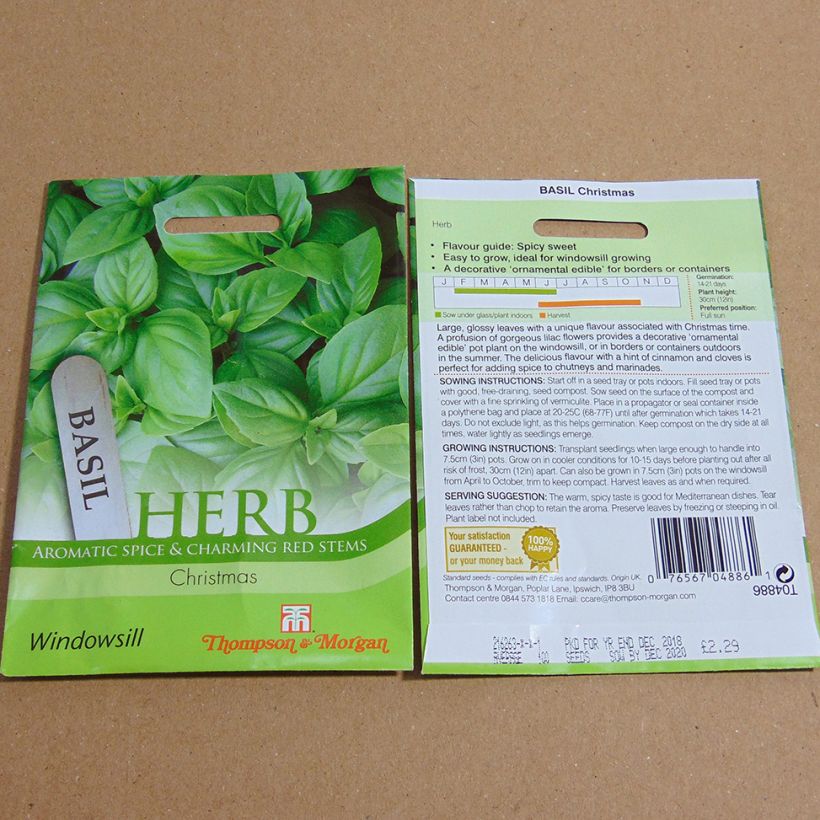 Example of Basilikum Christmas per pack of 150 seeds as you get