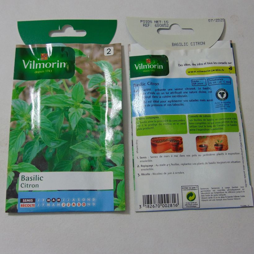 Example of Basilikum Citron - Vilmorin - Ocimum basilicum per pack of 800 seeds (1g) as you get