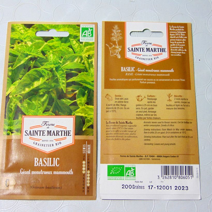 Example of Basilikum Géant Monstrueux Mammouth per pack of 150 seeds (0.24g) as you get