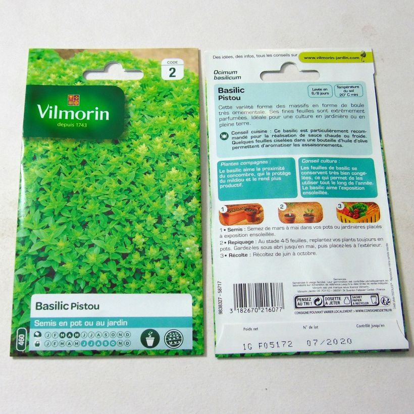 Example of Basilikum Pistou - Vilmorin - Ocimum basilicum per pack of 800 seeds (1g) as you get
