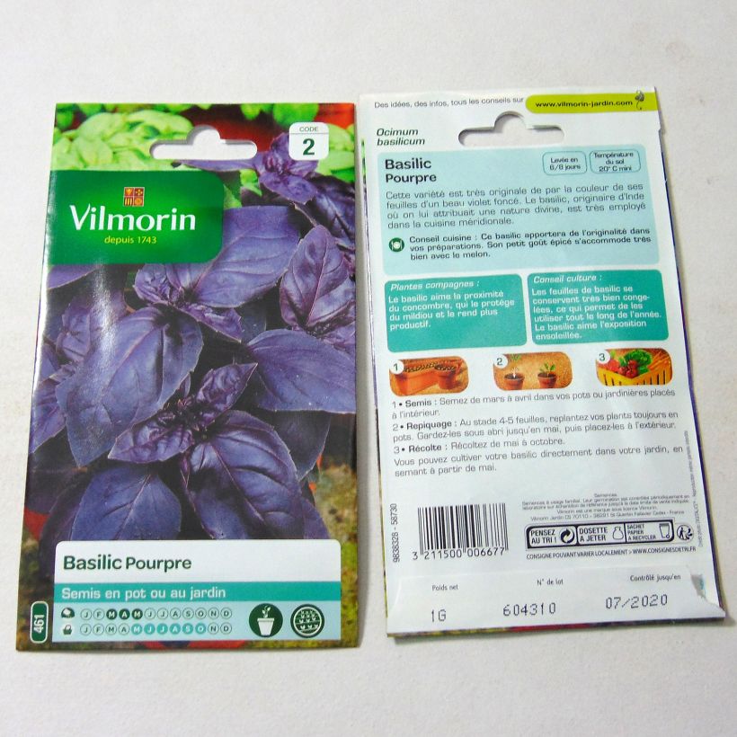 Example of Basilikum Purpurascens per pack of 800 seeds (1g) as you get