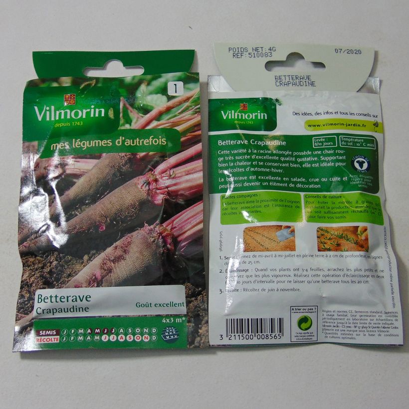 Example of Rote Bete Crapaudine- Vilmorin per pack of 200 seeds (4g) as you get