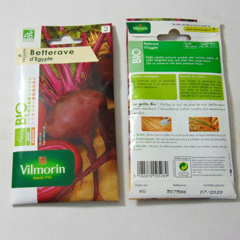 Example of Rote Bete Egypte Bio- Vilmorin per pack of 300 seeds (6g) as you get