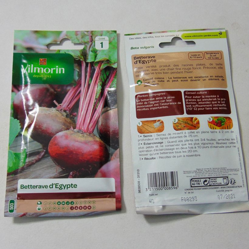 Example of Rote Bete Egypte- Vilmorin per pack of 200 seeds (4g) as you get
