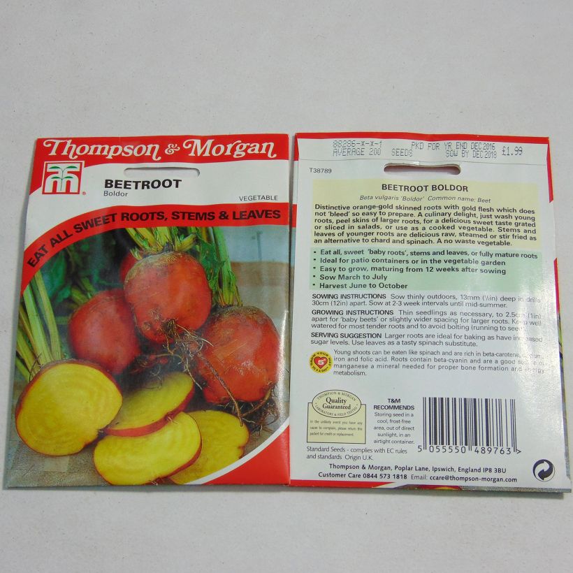 Example of Rote Bete Boldor per pack of 200 seeds as you get