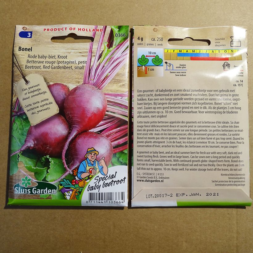 Example of Rote Bete Bonel per pack of 250 seeds (4g) as you get
