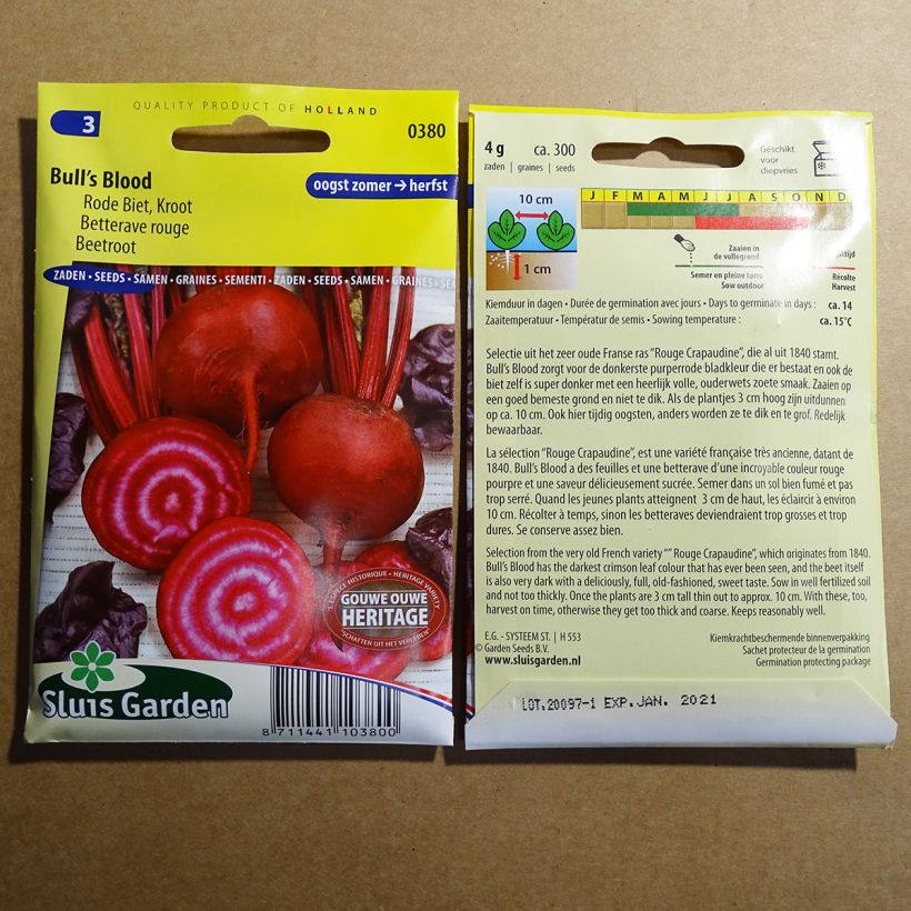 Example of Rote Bete Bull’s Blood per pack of 200 seeds (5g) as you get