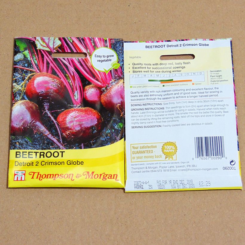 Example of Rote Bete Detroit 2 Crimson Globe per pack of 300 seeds as you get