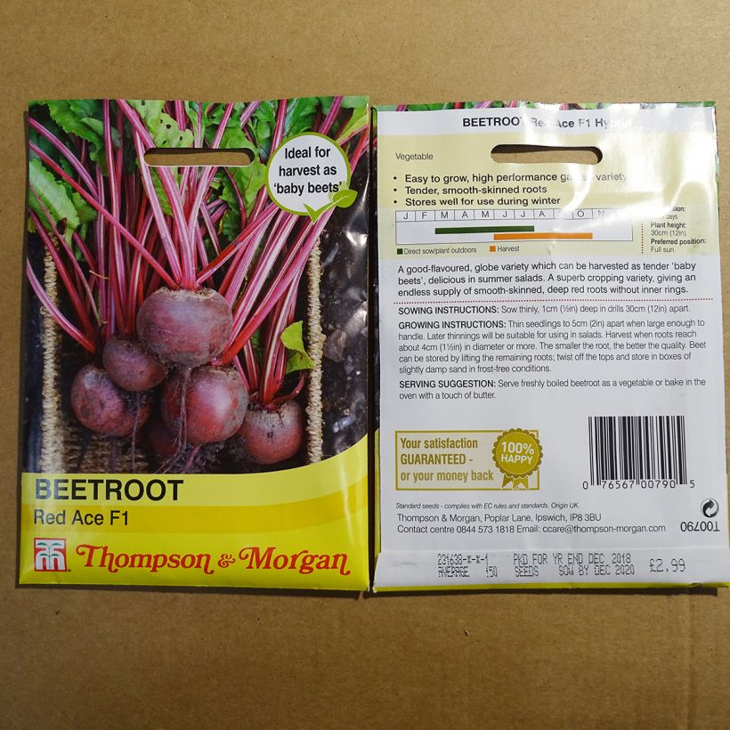 Example of Rote Bete Red Ace F1 per pack of 150 seeds as you get