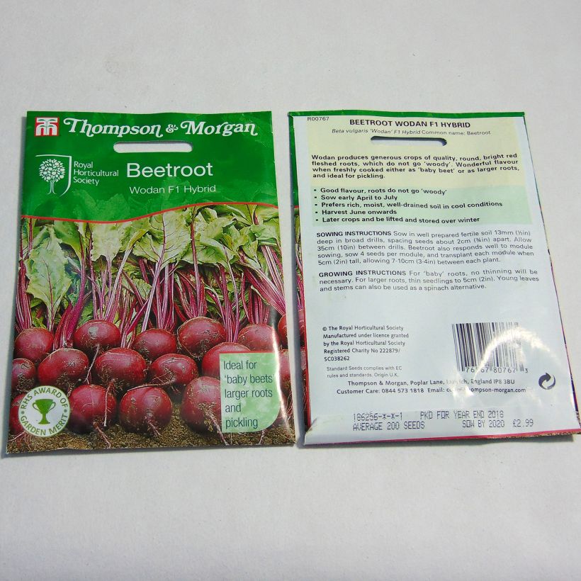 Example of Rote Bete Wodan F1 per pack of 200 seeds as you get