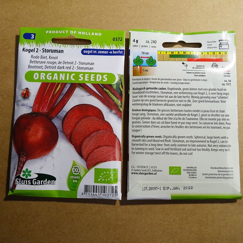 Example of Rote Bete rouge de Detroit - Storuman Bio per pack of 240 seeds (4g) as you get