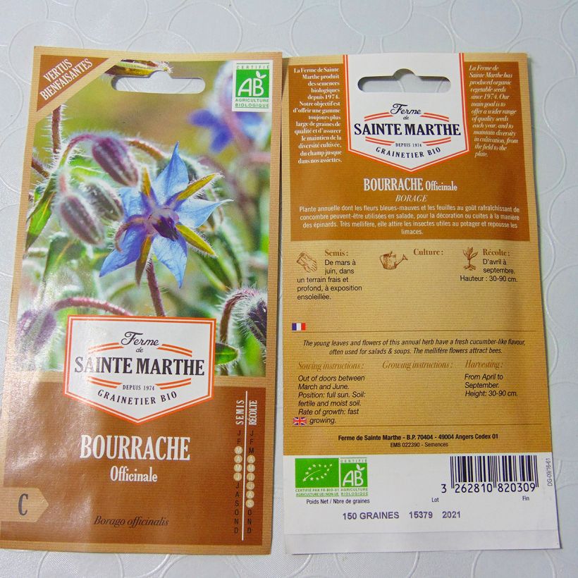 Example of Borretsch Alba Bio - Borago officinalis per pack of 50 seeds as you get