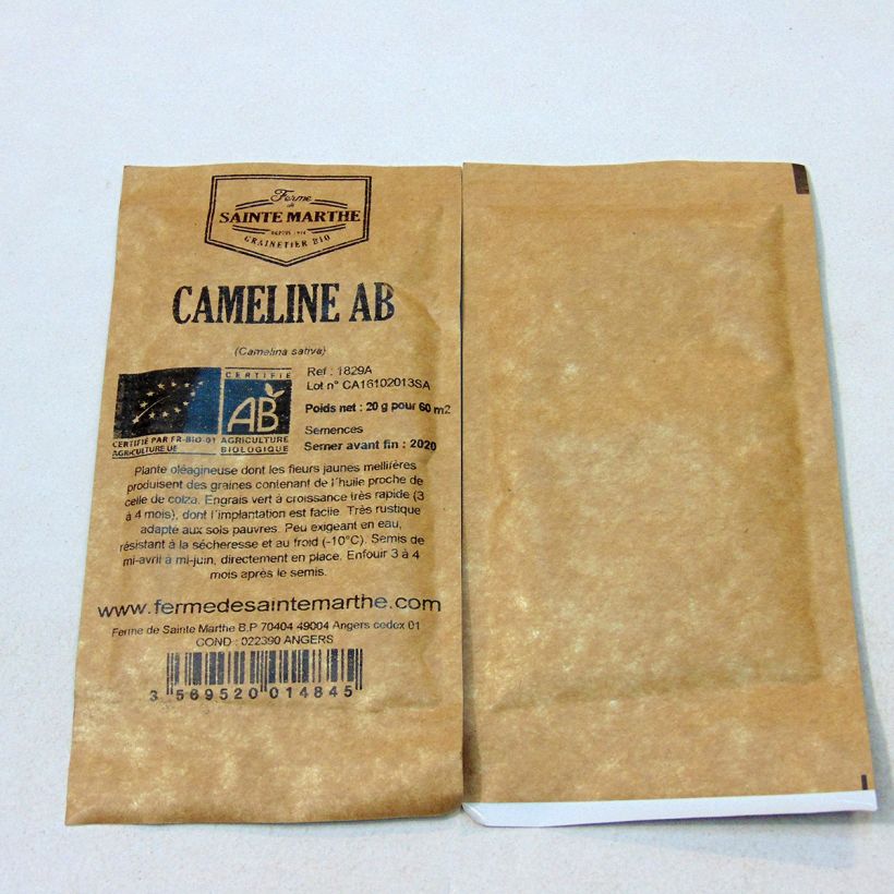 Example of Leindotter - Camelina sativa per 20 g seed pack as you get