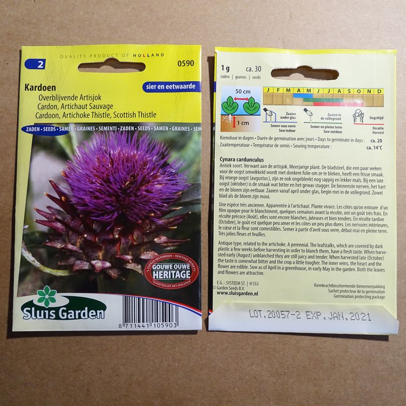 Example of Wilde Artischocke Artichaut sauvage - Cynara cardunculus per pack of 20 seeds (0.8g) as you get