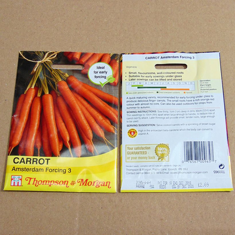 Example of Möhre Amsterdam Forcing 3 per pack of 2000 seeds as you get