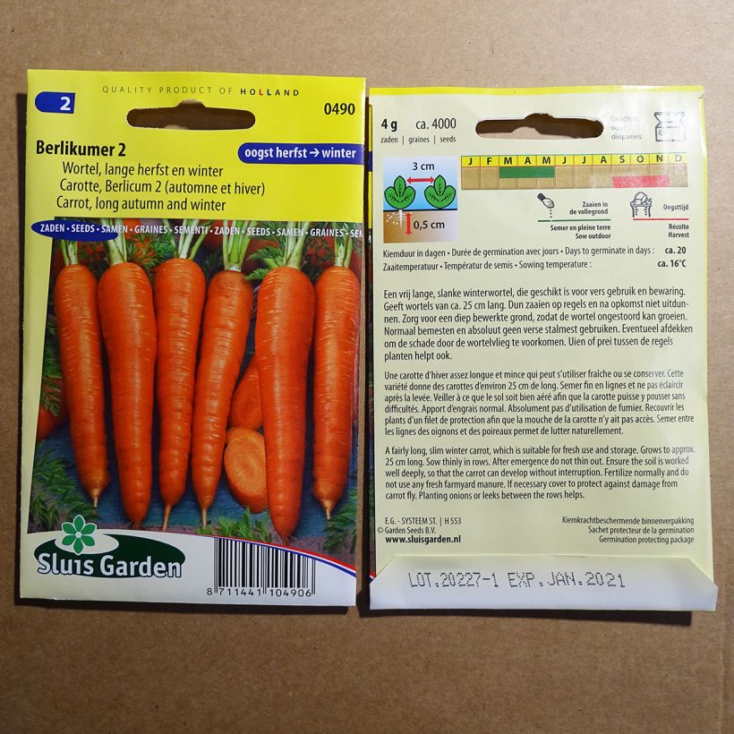 Example of Möhre Berlicum 2 per pack of 3600 seeds (5g) as you get