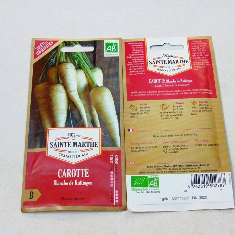 Example of Möhre Blanche de Küttingen Bio per pack of 500 seeds (1.35g) as you get