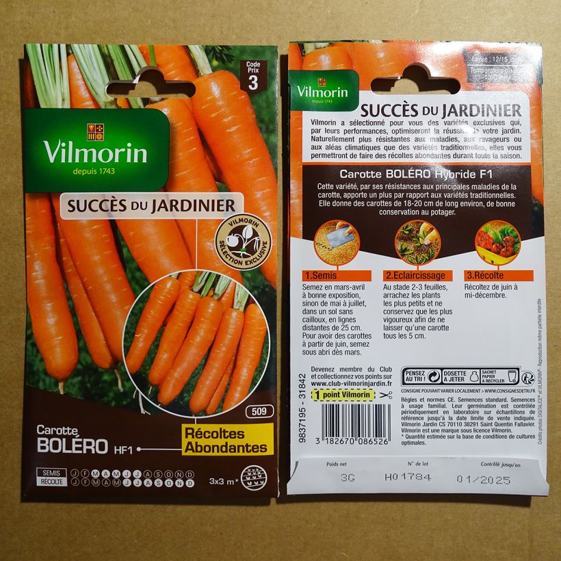 Example of Möhre Bolero per pack of 1500 seeds (3g) as you get