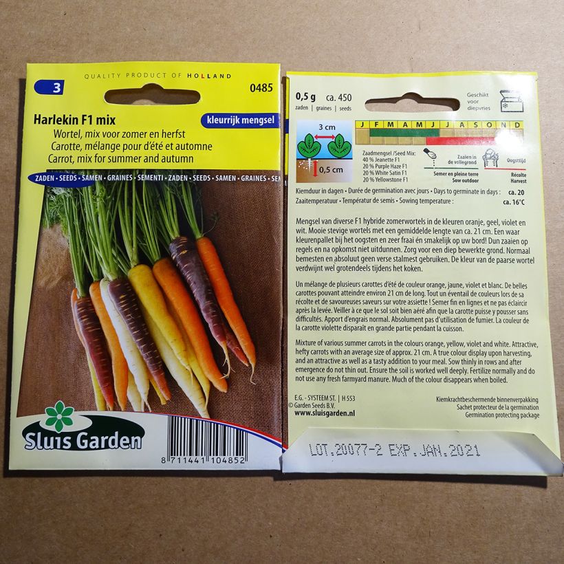 Example of Möhre Harlekin mix per pack of 400 ? 500 seeds (0,5g) as you get
