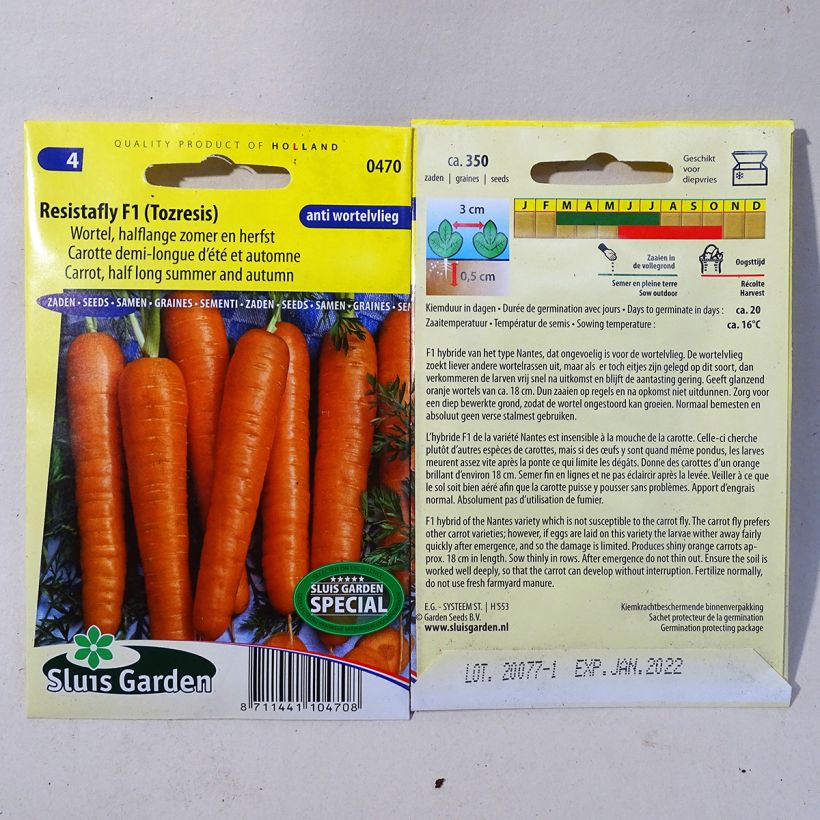 Example of Möhre Resistofly F1 per pack of 375 seeds as you get