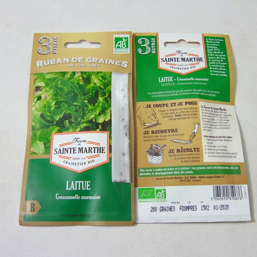 Example of Schnitt-Salat Radichetta (Saatband) Bio - Ferme de Sainte Marthe Samen in Bändern as you get