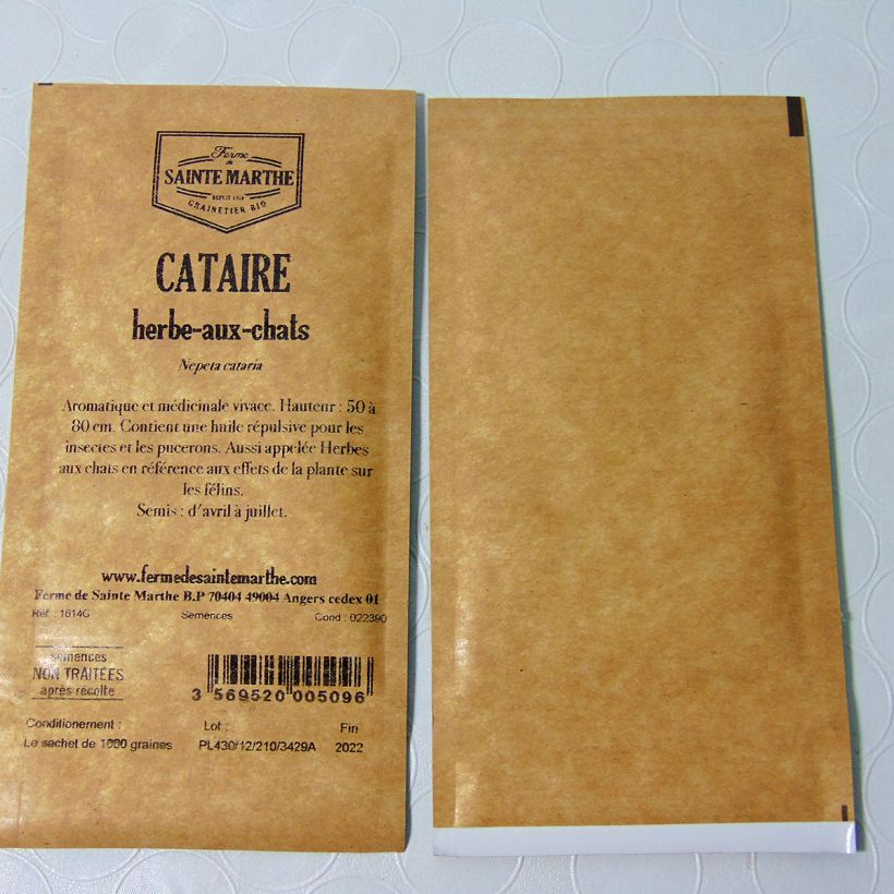 Example of Echte Katzenminze - Ferme de Sainte Marthe - Nepeta cataria per pack of 1000 seeds as you get