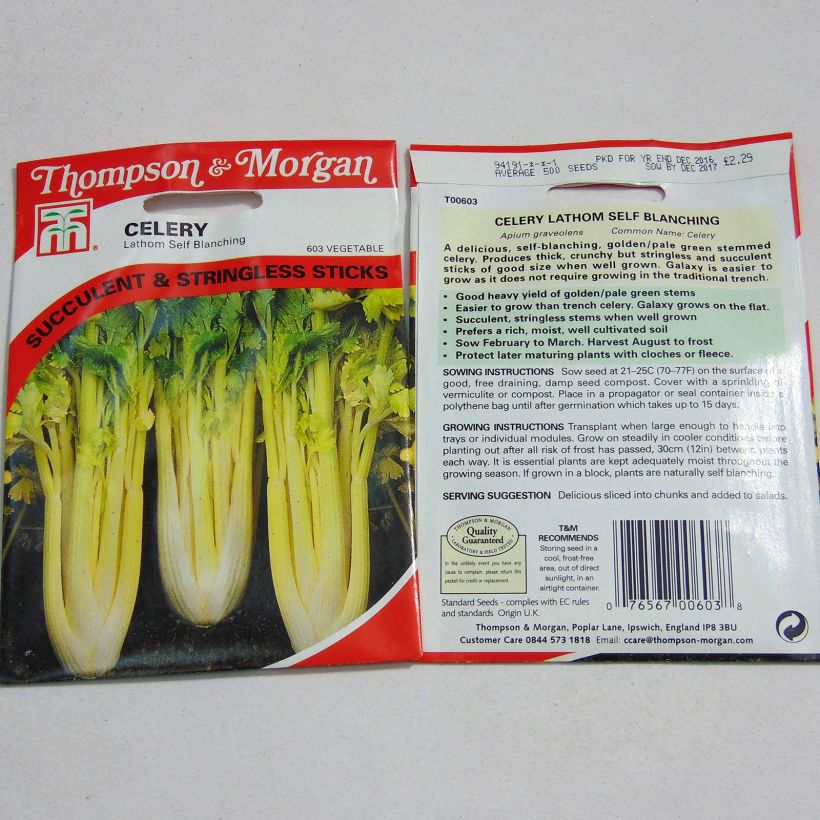 Example of Echter Sellerie Lathom Self Blanching per pack of 500 seeds as you get
