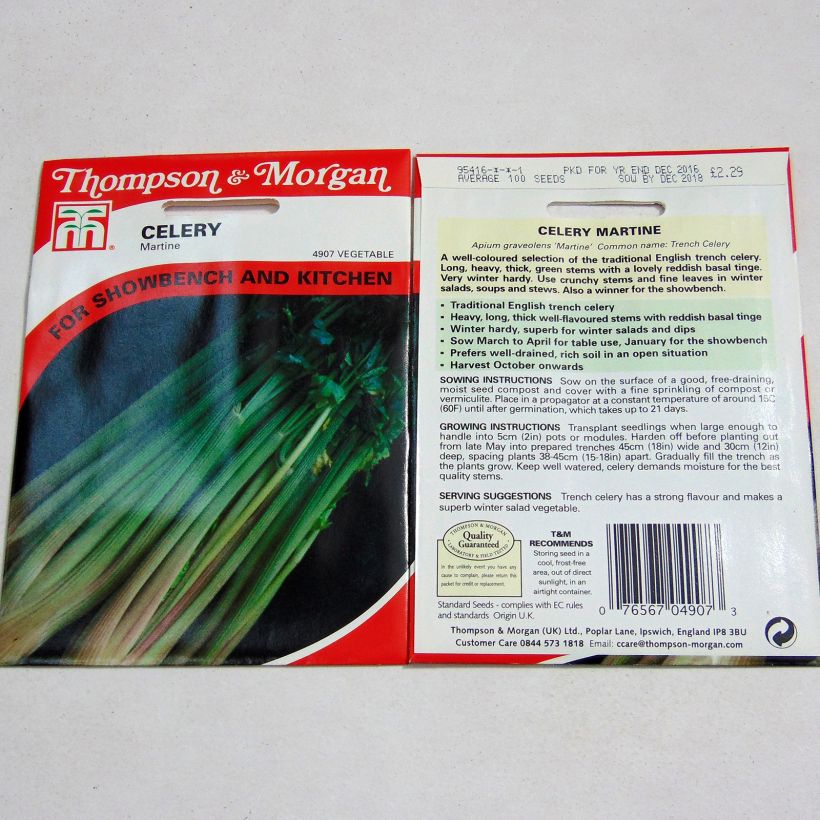 Example of Echter Sellerie Martine per pack of 100 seeds as you get