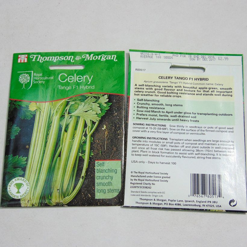 Example of Echter Sellerie Tango F1 Hybrid per pack of 150 seeds as you get