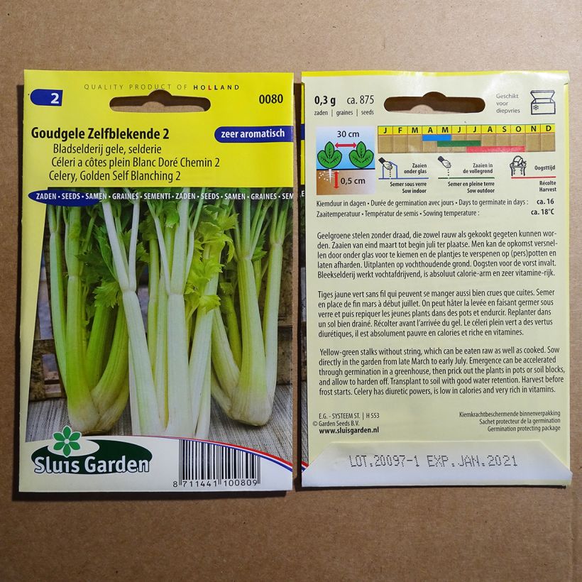 Example of Echter Sellerie Blanc Doré Chemin 2 per pack of 875 seeds (3g) as you get
