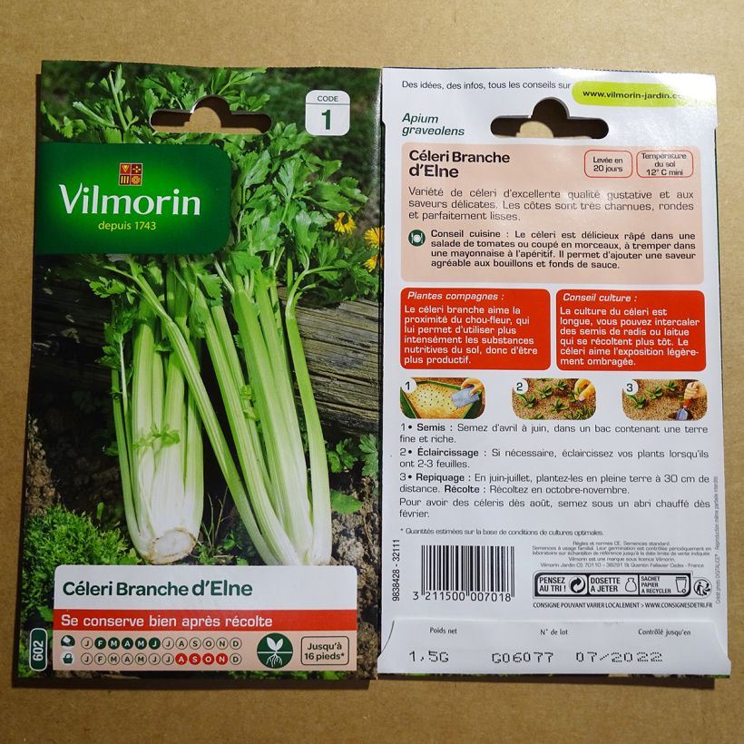 Example of Echter Sellerie Elne per pack of 2500 seeds (1g) as you get