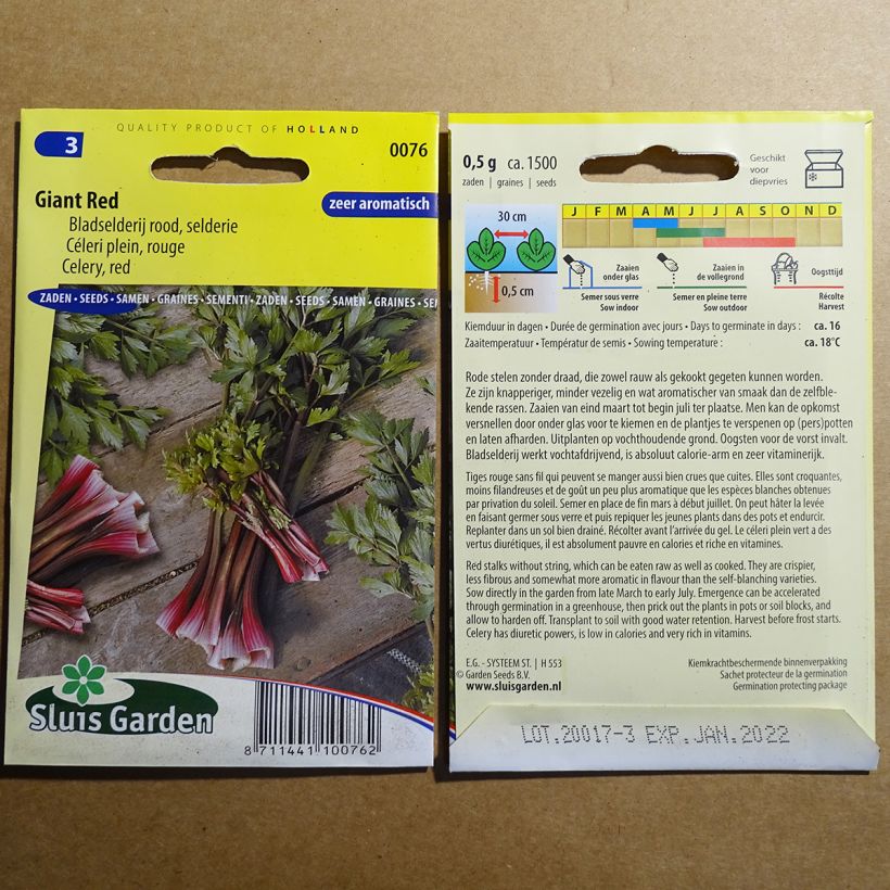 Example of Echter Sellerie Giant Red per pack of 1500 seeds as you get